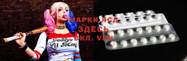 СК Каменногорск