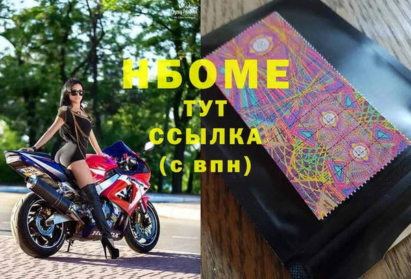 СК Каменногорск