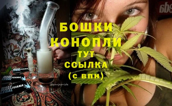 СК Каменногорск