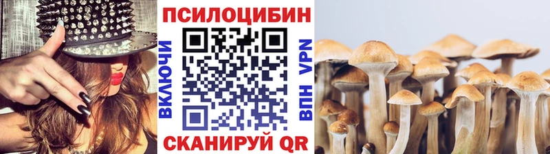 Псилоцибиновые грибы Psilocybine cubensis  Купить закладки  Северобайкальск 